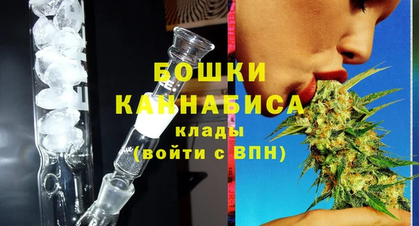 ECSTASY Богородицк