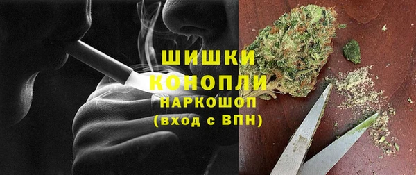 ECSTASY Богородицк