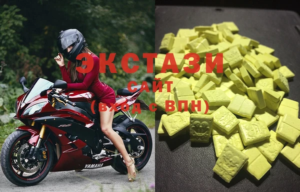 ECSTASY Богородицк